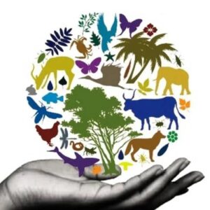 Biological diversity
