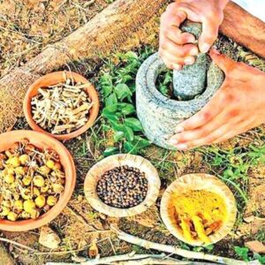 Traditional Knowledge