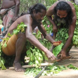 Wadi Jana Sanskruthiya