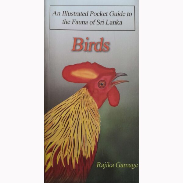 Birds  An Illustrated Pocket Guide to the Fauna of Sri Lanka  Rajika Gamage