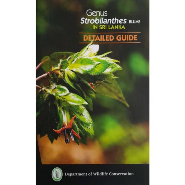 (Nelu) Genus Strobilanthes BLUME in Sri Lanka  Detailed Guide Nilanthi Rajapakse